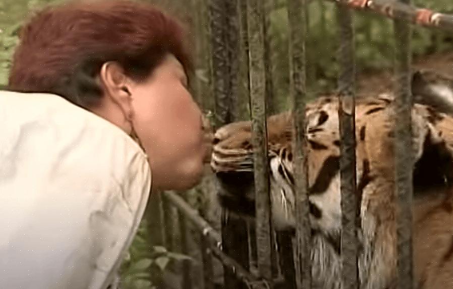 אנה ג'וליה טורס היא אישה שניחנה ברגישות מיוחדת כלפי בעלי חיים